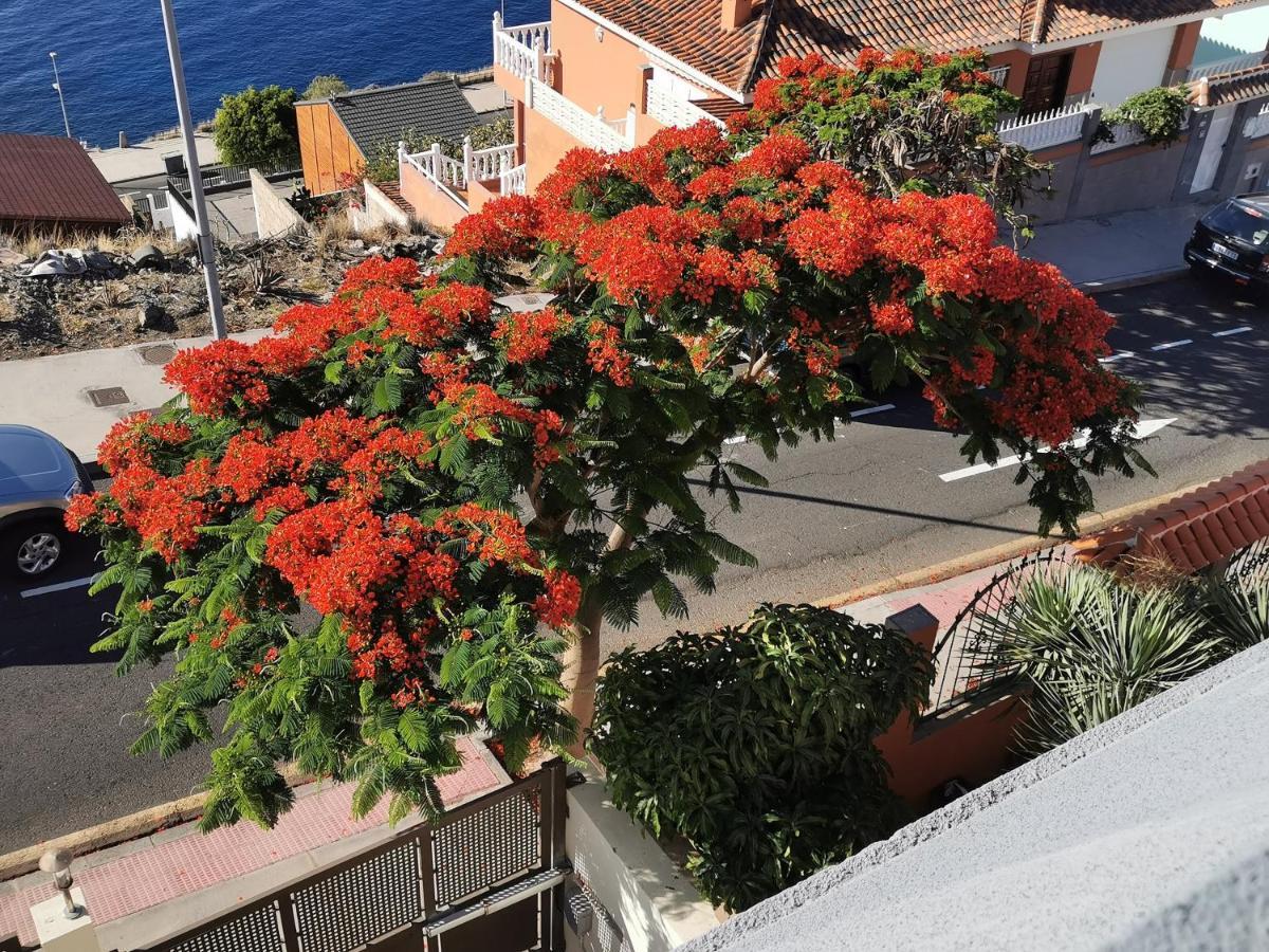 Balcon De Costanera Βίλα Σάντα Κρουζ Τενερίφης Εξωτερικό φωτογραφία